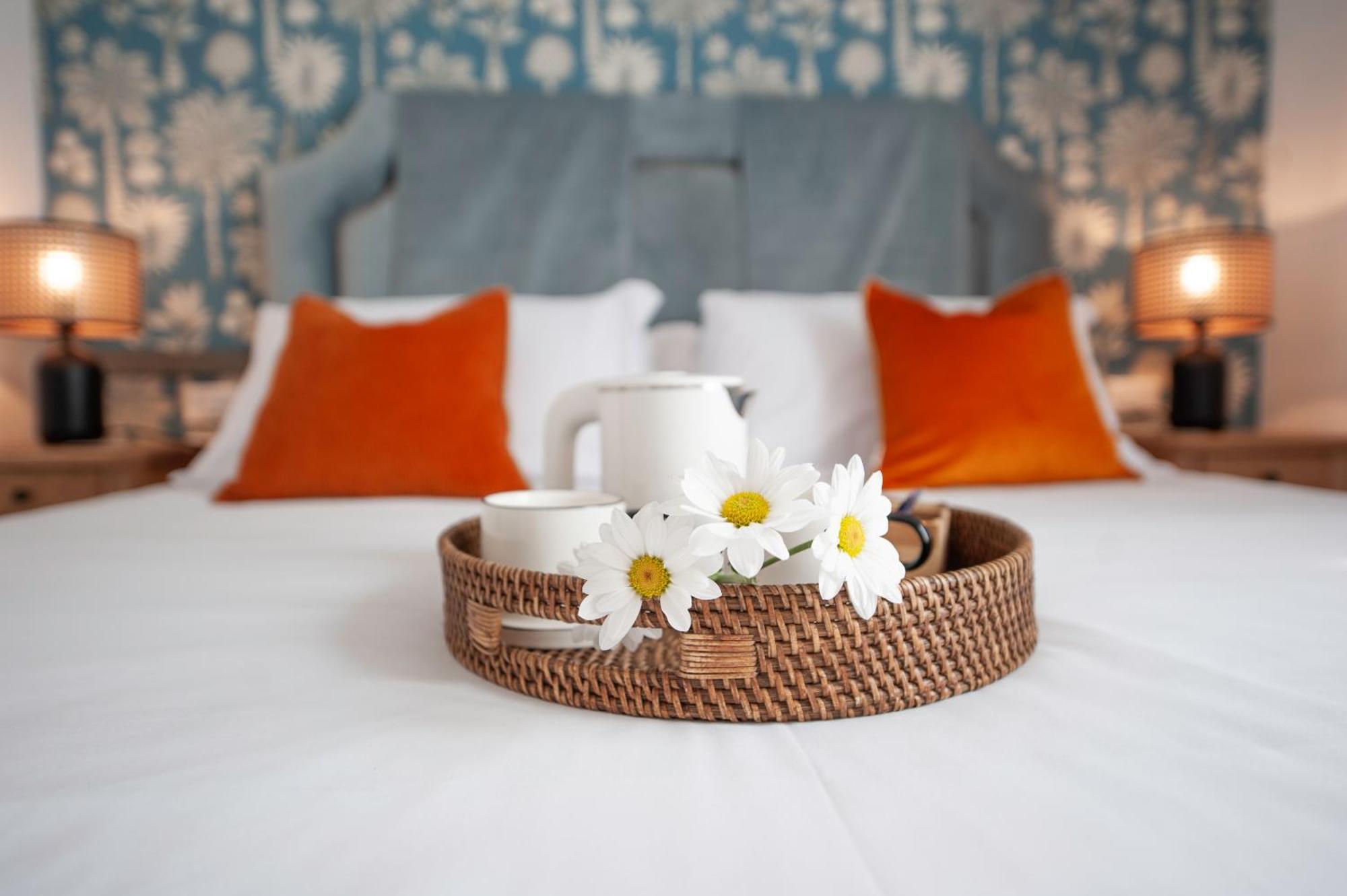 Guest house La Corticina - & -